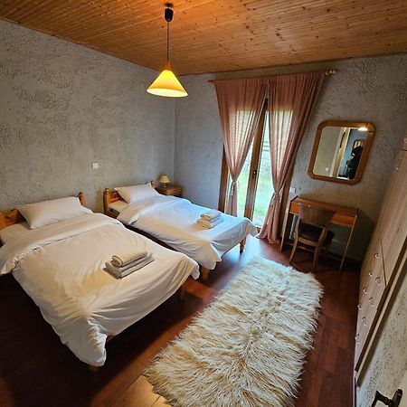 Orino Livadi Mount Villa IV Arachova Eksteriør billede