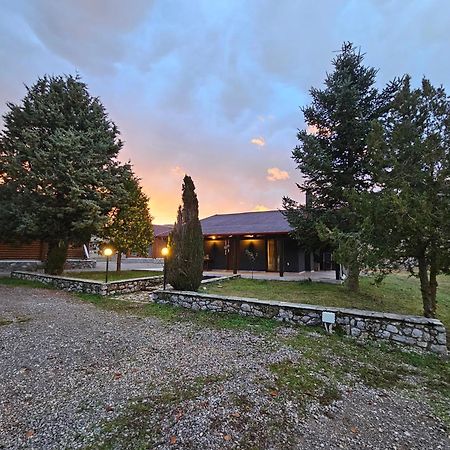 Orino Livadi Mount Villa IV Arachova Eksteriør billede