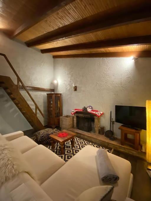 Orino Livadi Mount Villa IV Arachova Eksteriør billede
